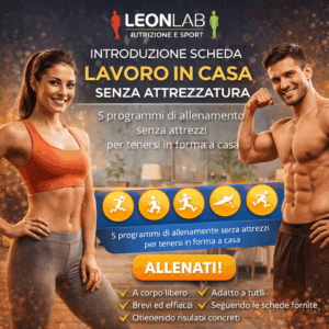 INTRODUZIONE SCHEDA LAVORO IN CASA SENZA ATTREZZATURA