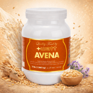 AVENA QUALITY FOOD